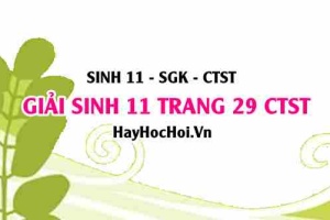 Giải Sinh 11 trang 29 Chân trời sáng tạo SGK